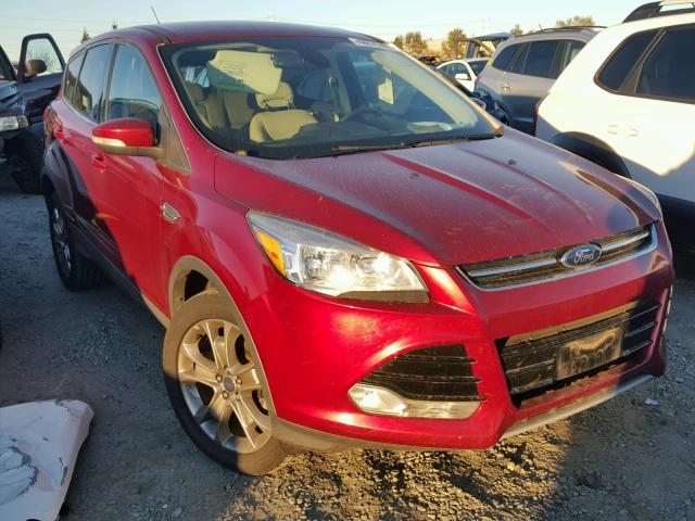 1FMCU0HX5DUA81297 - 2013 FORD ESCAPE SEL RED photo 1