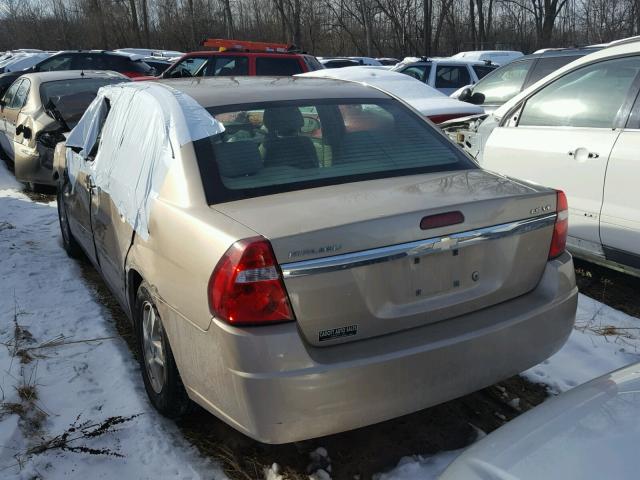 1G1ZT54804F137821 - 2004 CHEVROLET MALIBU LS 金色 照片 3