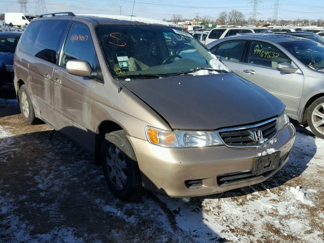 5FNRL18694B069208 - 2004 HONDA ODYSSEY EX GOLD photo 1