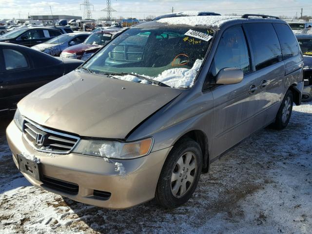 5FNRL18694B069208 - 2004 HONDA ODYSSEY EX GOLD photo 2