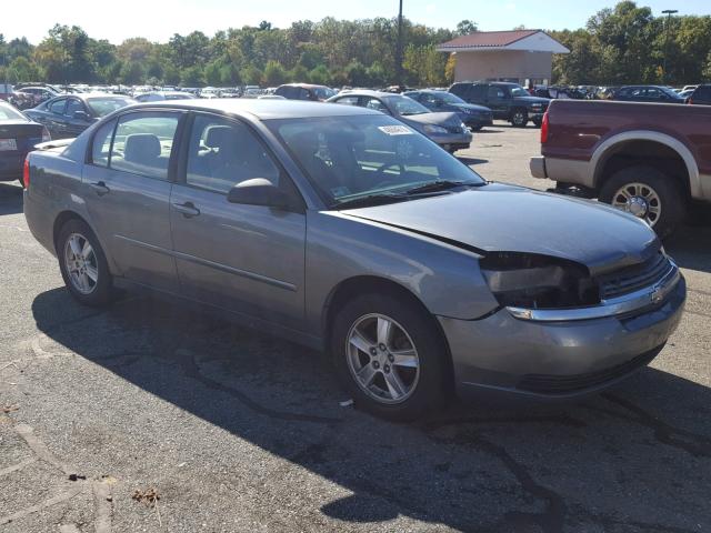 1G1ZT548X5F198594 - 2005 CHEVROLET MALIBU LS ნაცრისფერი ფოტო 1