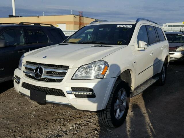 4JGBF2FEXCA766575 - 2012 MERCEDES-BENZ GL 350 BLU WHITE photo 2