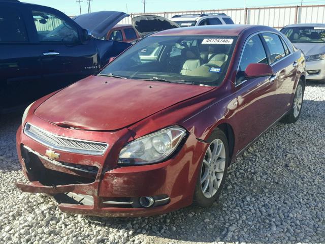 1G1ZK57738F245569 - 2008 CHEVROLET MALIBU LTZ 红色 照片 2