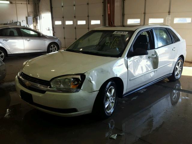 1G1ZT64825F108425 - 2005 CHEVROLET MALIBU MAX 白色 照片 2
