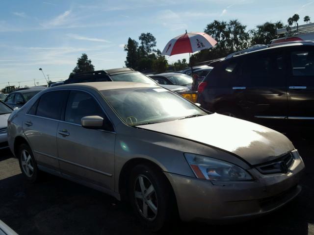 1HGCM56445A052694 - 2005 HONDA ACCORD LX GOLD photo 1