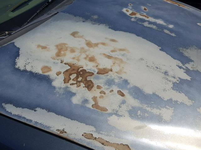 1G2NE52E55M246897 - 2005 PONTIAC GRAND AM S 灰色 照片 9