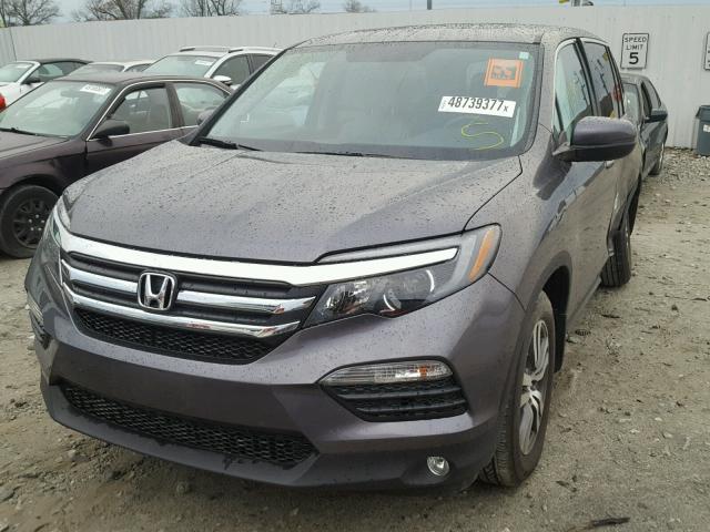 5FNYF5H79HB001354 - 2017 HONDA PILOT EXLN GRAY photo 2