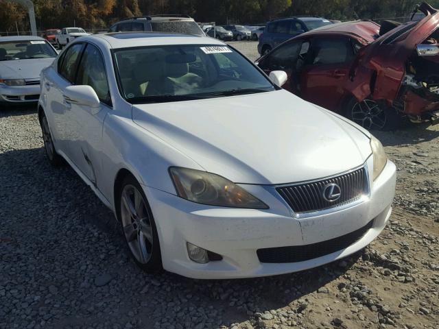 JTHBF5C22A5121228 - 2010 LEXUS IS 250 WHITE photo 1