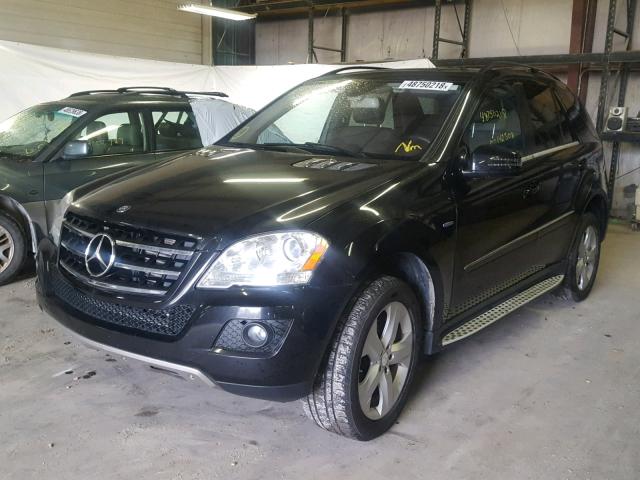 4JGBB2FB3BA740433 - 2011 MERCEDES-BENZ ML 350 BLU BLACK photo 2