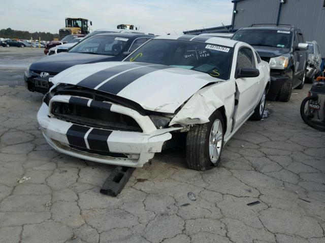 1ZVBP8AM0E5264816 - 2014 FORD MUSTANG WHITE photo 2