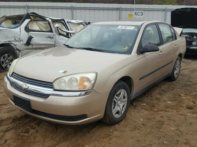 1G1ZS52F05F296831 - 2005 CHEVROLET MALIBU GOLD photo 2