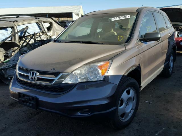 5J6RE4H30BL074903 - 2011 HONDA CR-V LX BROWN photo 2