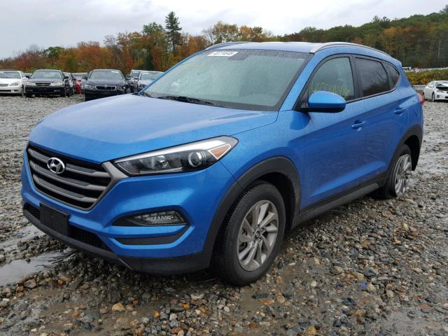 KM8J33A42GU082391 - 2016 HYUNDAI TUCSON LIM BLUE photo 2