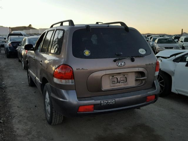 KM8SC13D55U931979 - 2005 HYUNDAI SANTA FE G BROWN photo 3