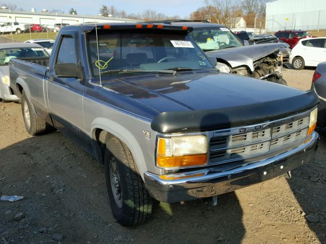 1B7GL26Y4MS242816 - 1991 DODGE DAKOTA BLUE photo 1