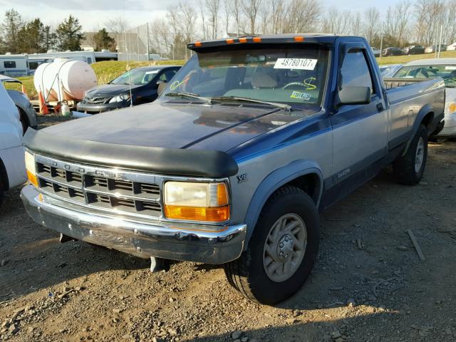 1B7GL26Y4MS242816 - 1991 DODGE DAKOTA BLUE photo 2