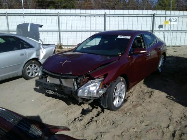 1N4AA5AP0AC820014 - 2010 NISSAN MAXIMA S BURGUNDY photo 2