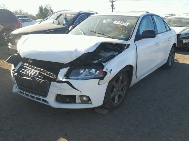 WAULF78KX9N026273 - 2009 AUDI A4 2.0T QU WHITE photo 2