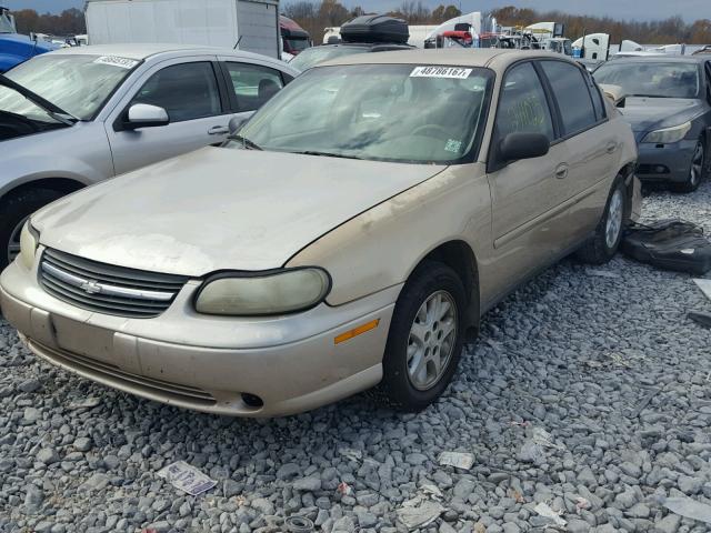 1G1ND52J116231705 - 2001 CHEVROLET MALIBU GOLD photo 2