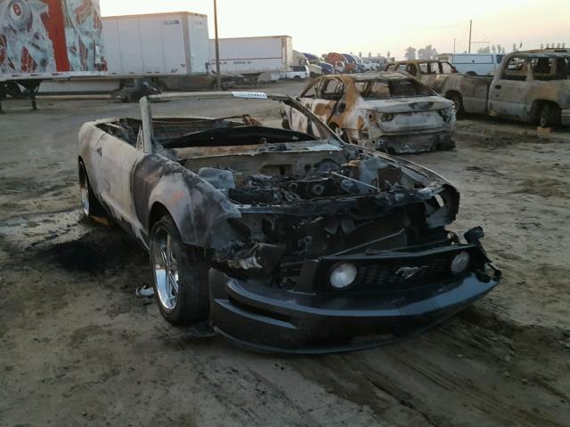 1ZVHT85H665194503 - 2006 FORD MUSTANG GT BURN photo 1