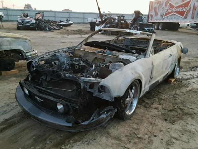 1ZVHT85H665194503 - 2006 FORD MUSTANG GT BURN photo 2