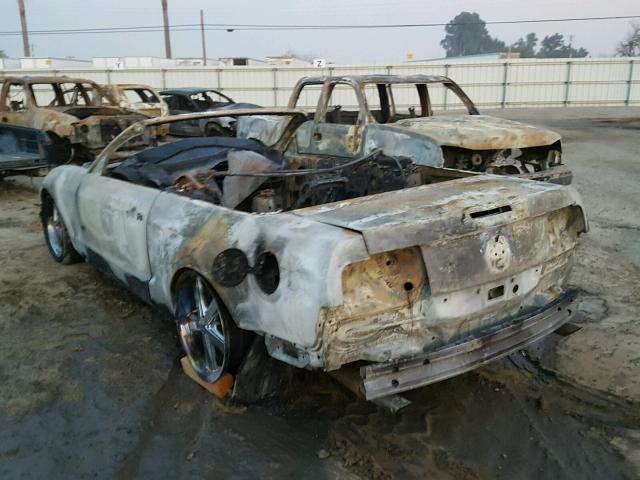 1ZVHT85H665194503 - 2006 FORD MUSTANG GT BURN photo 3