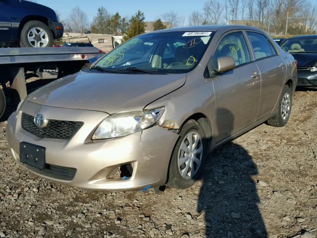 2T1BU4EE4AC386051 - 2010 TOYOTA COROLLA BA BEIGE photo 2