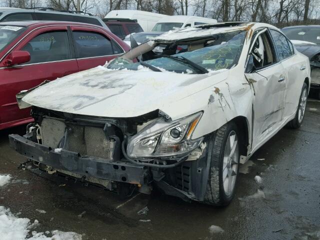 1N4AA51E59C823811 - 2009 NISSAN MAXIMA S WHITE photo 2