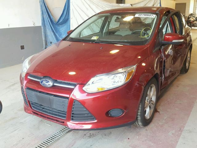 1FADP3K28DL156181 - 2013 FORD FOCUS SE RED photo 2