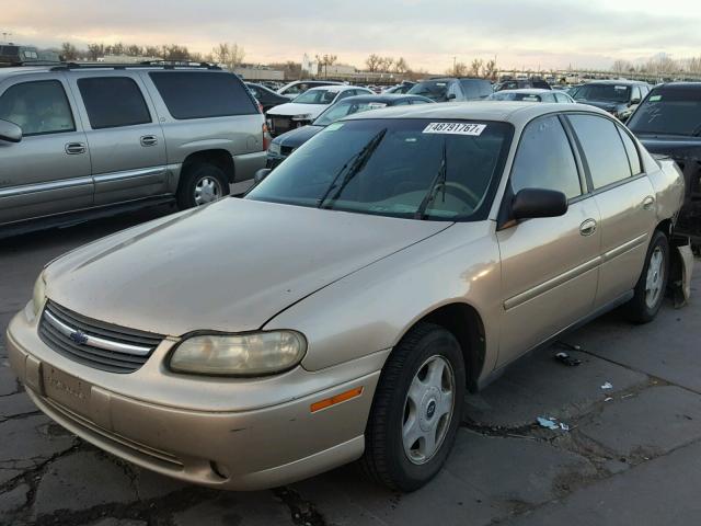 1G1ND52J31M572258 - 2001 CHEVROLET MALIBU GOLD photo 2