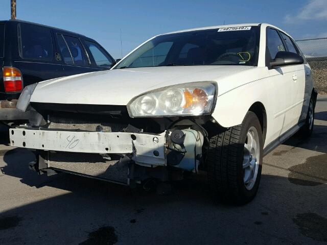 1G1ZT648X5F100153 - 2005 CHEVROLET MALIBU MAX 白色 照片 2