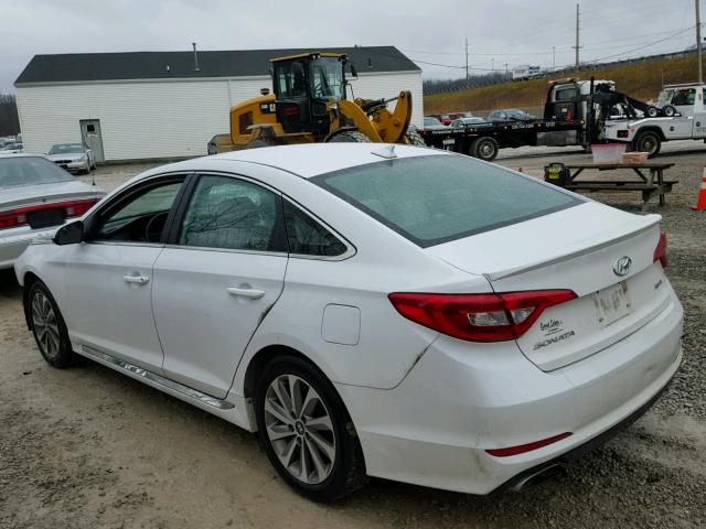 5NPE34AF4FH041265 - 2015 HYUNDAI SONATA SPO WHITE photo 3