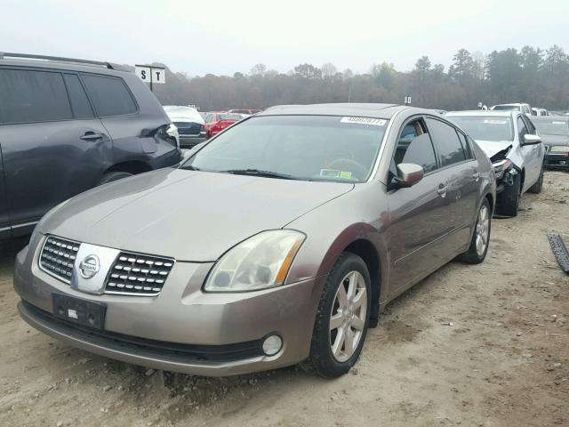 1N4BA41E54C891534 - 2004 NISSAN MAXIMA SE GREEN photo 2