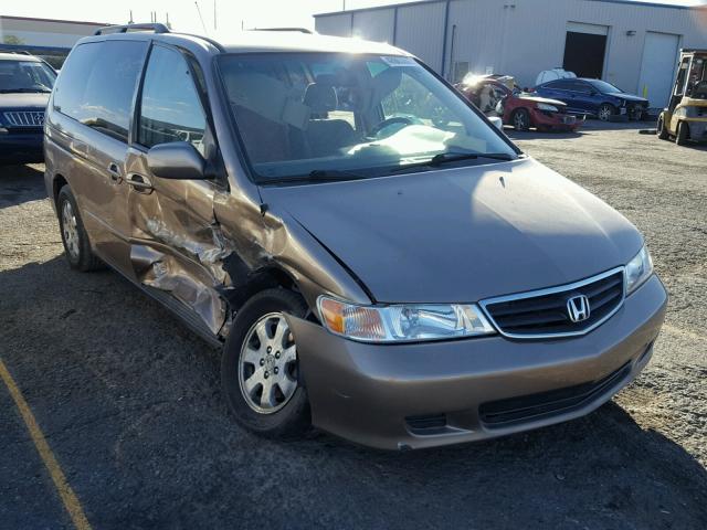 5FNRL18624B110505 - 2004 HONDA ODYSSEY EX TAN photo 1