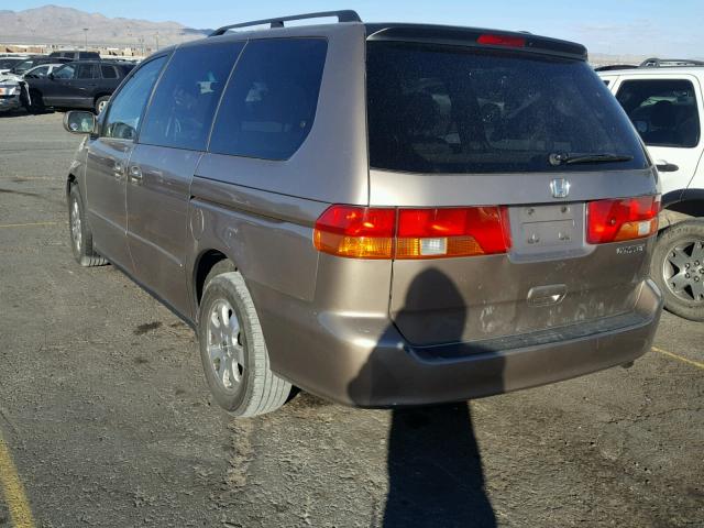 5FNRL18624B110505 - 2004 HONDA ODYSSEY EX TAN photo 3