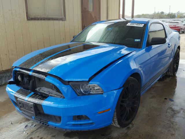 1ZVBP8AM4D5231770 - 2013 FORD MUSTANG BLUE photo 2