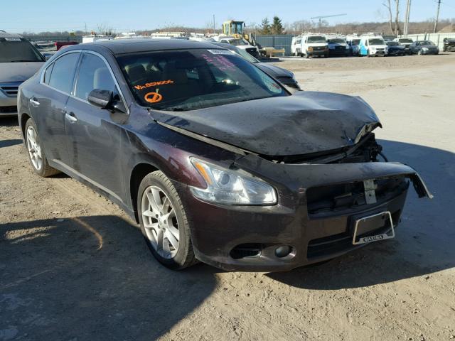 1N4AA5AP4BC854006 - 2011 NISSAN MAXIMA S أرجواني صورة 1