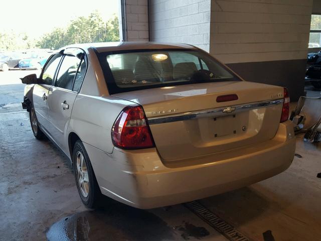 1G1ZT52835F318982 - 2005 CHEVROLET MALIBU LS ოქროსფერი ფოტო 3