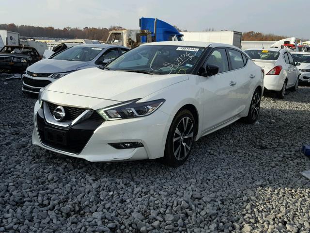 1N4AA6AP4HC378032 - 2017 NISSAN MAXIMA 3.5 WHITE photo 2