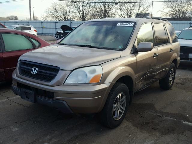 2HKYF18574H521264 - 2004 HONDA PILOT EXL GOLD photo 2