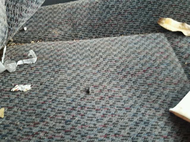 4S6CK58W6X4408196 - 1999 HONDA PASSPORT E 绿色 照片 9