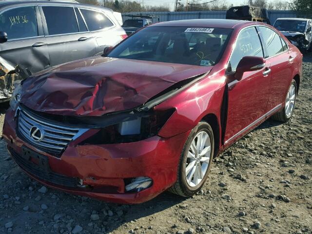 JTHBK1EG9C2474325 - 2012 LEXUS ES 350 RED photo 2