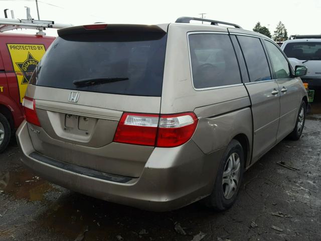 5FNRL38746B008405 - 2006 HONDA ODYSSEY EX TAN photo 4