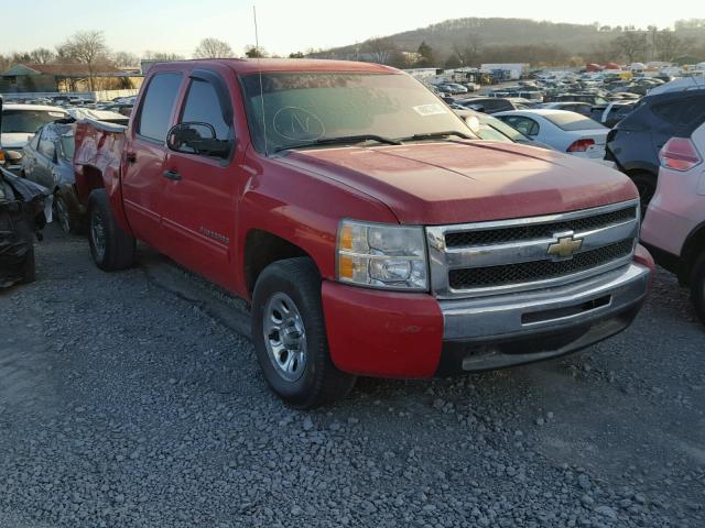 3GCRCSEA6AG180531 - 2010 CHEVROLET SILVERADO RED photo 1