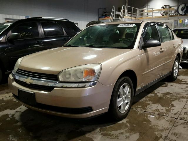 1G1ZT52854F130964 - 2004 CHEVROLET MALIBU LS TAN photo 2