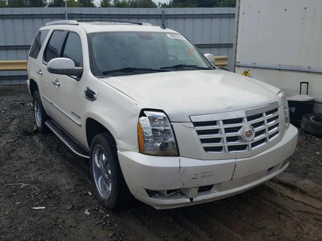 1GYS4EEJ4BR164260 - 2011 CADILLAC ESCALADE H CREAM photo 1