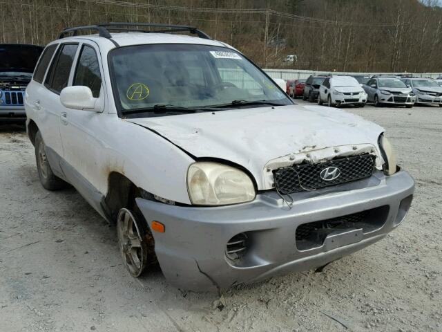 KM8SB12B04U739094 - 2004 HYUNDAI SANTA FE G WHITE photo 1