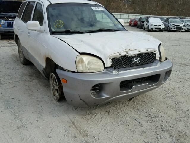 KM8SB12B04U739094 - 2004 HYUNDAI SANTA FE G WHITE photo 9