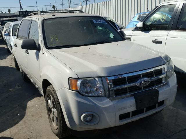 1FMCU0DG2AKB55255 - 2010 FORD ESCAPE XLT WHITE photo 1