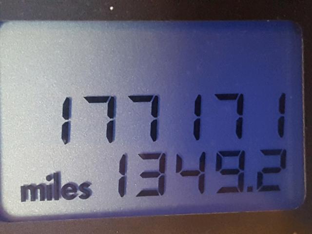 3VWCC21C1YM404505 - 2000 VOLKSWAGEN NEW BEETLE Yaşıl foto 8